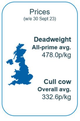 September beef prices infographic